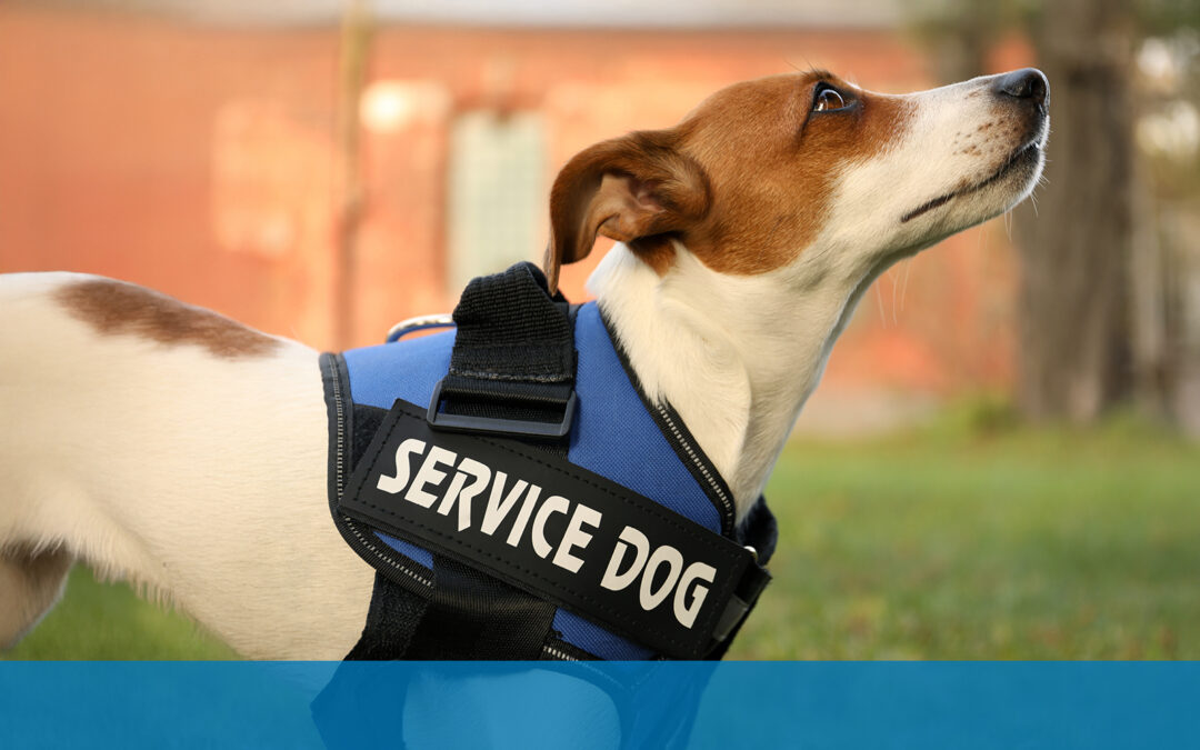 The Hearts They Heal