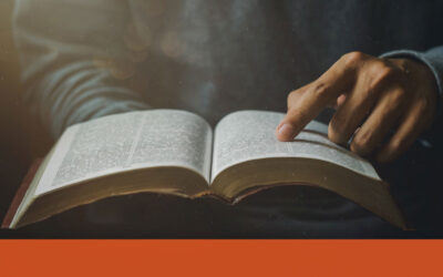 The Details I Missed