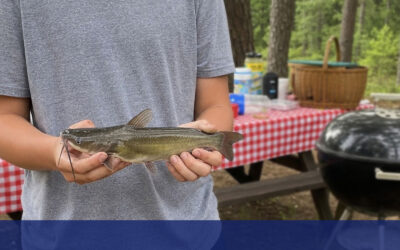 The Catch of a Lifetime