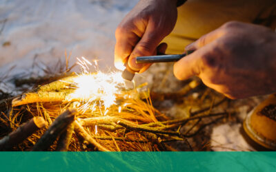 Wilderness Survival