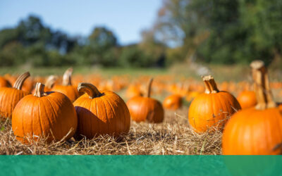 Pumpkins